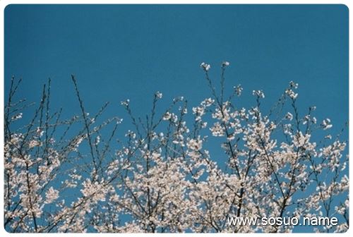 �μ���һ��Ѫ,�����μ���һ��Ѫ