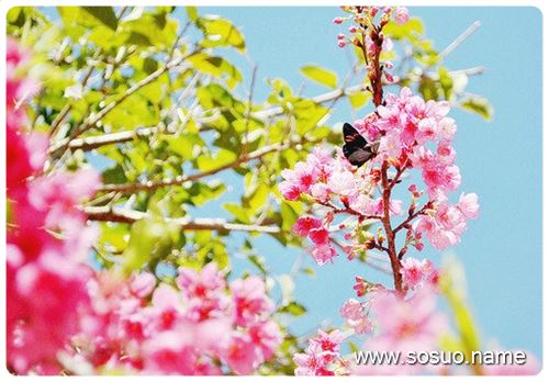 �μ�����ȴ�����ƽ�����ˮ��,�����μ�����ȴ�����ƽ�����ˮ��