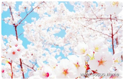 �μ�Ư����С����,�����μ�Ư����С����