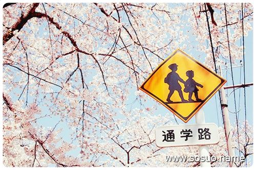 �μ�ϵ�����겼,�����μ�ϵ�����겼