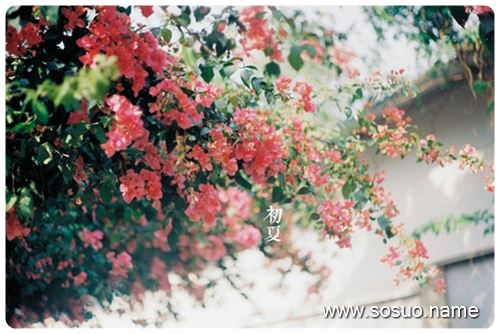 �μ����ӻ�˵������·,�����μ����ӻ�˵������·