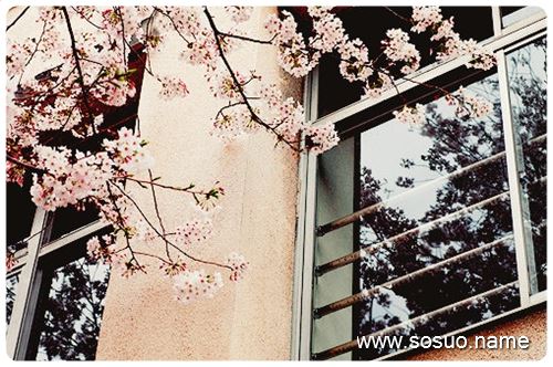 梦见梦自己背柴回家是什么意思?