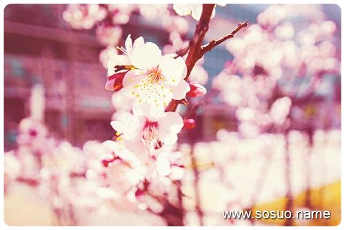 �μ��Լ�͵����Ǯ����ס,�����μ��Լ�͵����Ǯ����ס