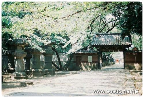 �μ�����ҧ��ָû��Ѫ,�����μ�����ҧ��ָû��Ѫ