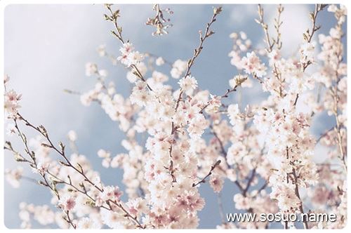 �μ������ϴ�ѧ,�����μ������ϴ�ѧ