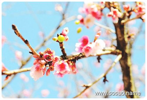 �μ�����һ������,�����μ�����һ������