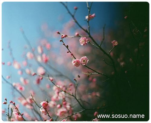 �μ��Ͱ��¼���,�����μ��Ͱ��¼���