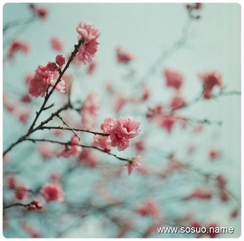 �μ����˵����ŵ���������̸,�����μ����˵����ŵ���������̸
