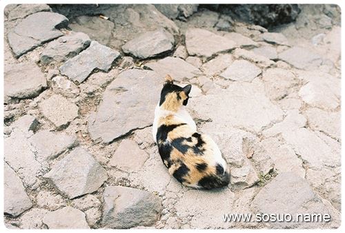 �μ��ܶ�ô�ƿ�ľ�,�����μ��ܶ�ô�ƿ�ľ�