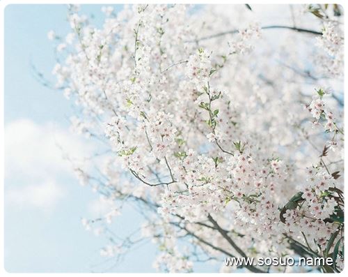 �μ��ּ��ķ���ˮ,�����μ��ּ��ķ���ˮ