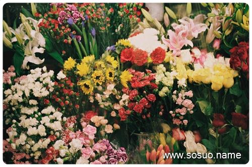 �μ����ƺ쳾����,�����μ����ƺ쳾����
