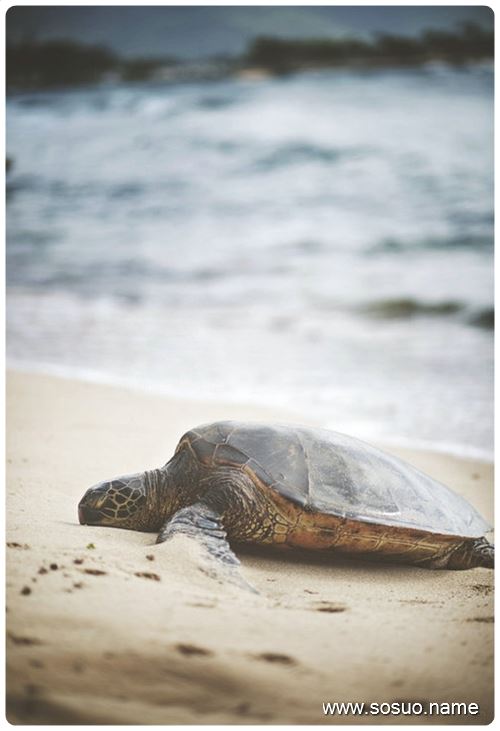 梦见别人从房顶跳下来是什么意思?