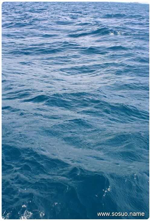 �μ�ԭ��ϲ������,�����μ�ԭ��ϲ������