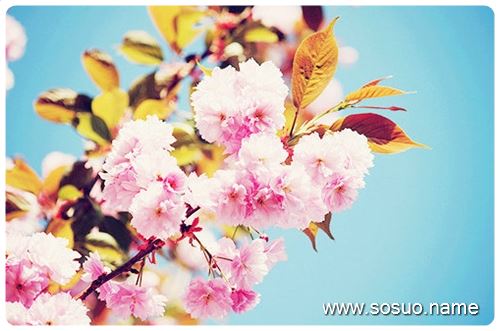 �μ�Ӥ��,�����μ�Ӥ��