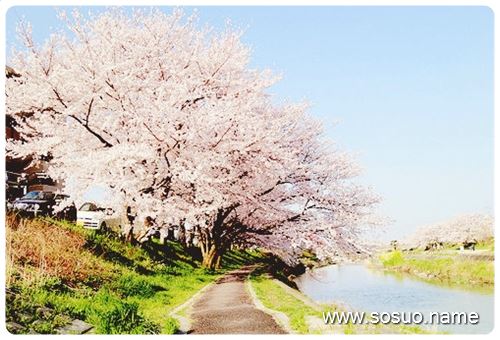 �μ��и���Ů������,�����μ��и���Ů������