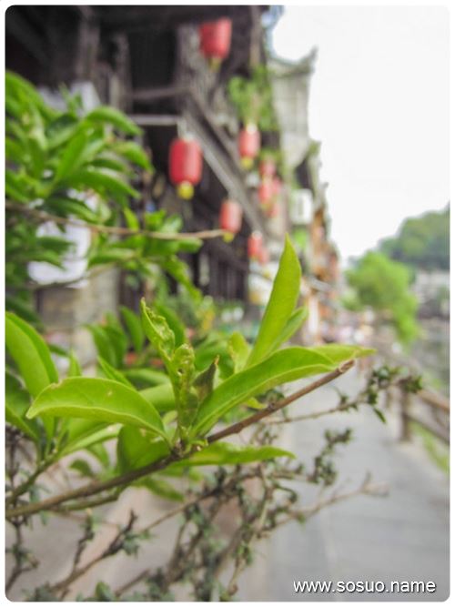 �μ�����һ���³��ֶ���,�����μ�����һ���³��ֶ���