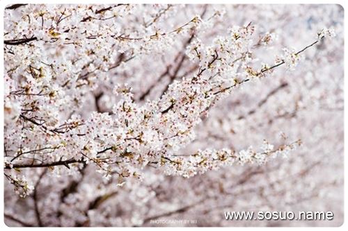 �μ�С�к�Ҫ����˯,�����μ�С�к�Ҫ����˯