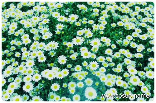 �μ����˵���,�����μ����˵���