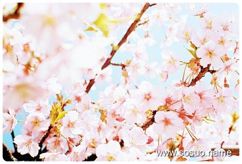 �μ���Ů���Լ������ŵ�����,�����μ���Ů���Լ������ŵ�����