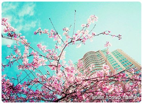 �μ��Լ���������������,�����μ��Լ���������������