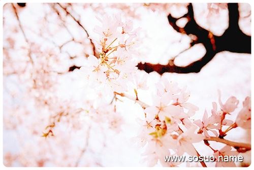�μ�û���������кܶ���׷��,�����μ�û���������кܶ���׷��