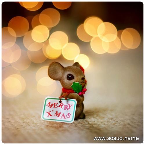 �μ���ţ�ǻ�����˹ײ�,�����μ���ţ�ǻ�����˹ײ�