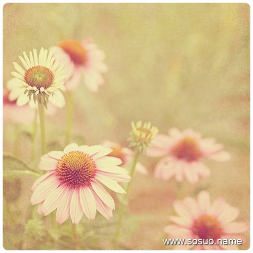 �μ����ø�̸����,�����μ����ø�̸����