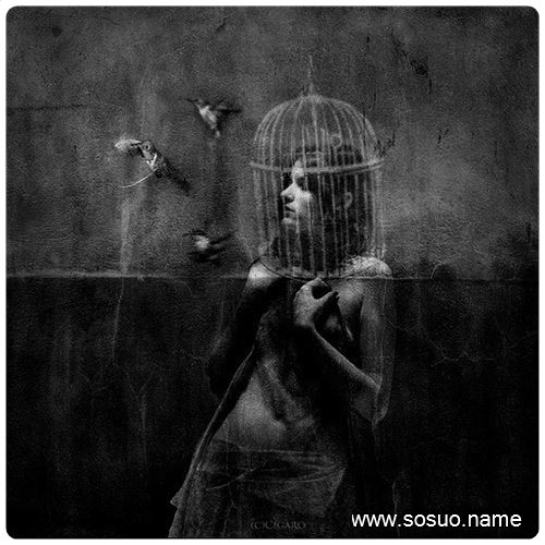 �μ�һֻ��Ь�Ӳ�����,�����μ�һֻ��Ь�Ӳ�����