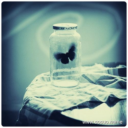 �μ���Ƥ����,�����μ���Ƥ����