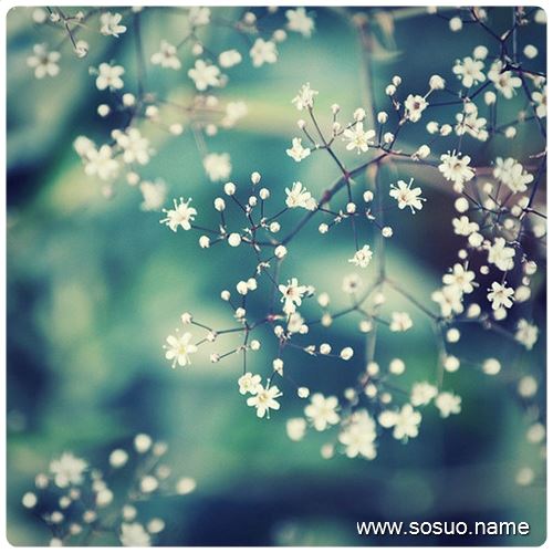 �μ�����һ��������,�����μ�����һ��������