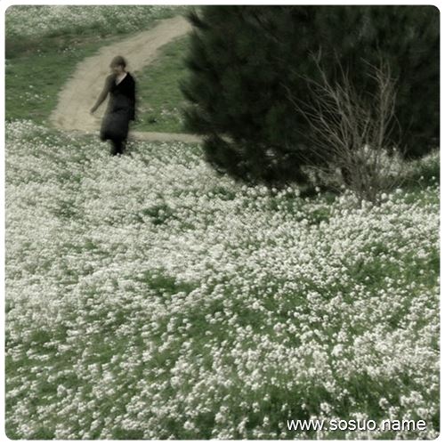 �μ����������ֶ�������ʺ,�����μ����������ֶ�������ʺ