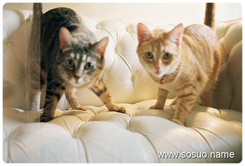 �μ�һ���Լ���������˱��˴�,�����μ�һ���Լ���������˱��˴�