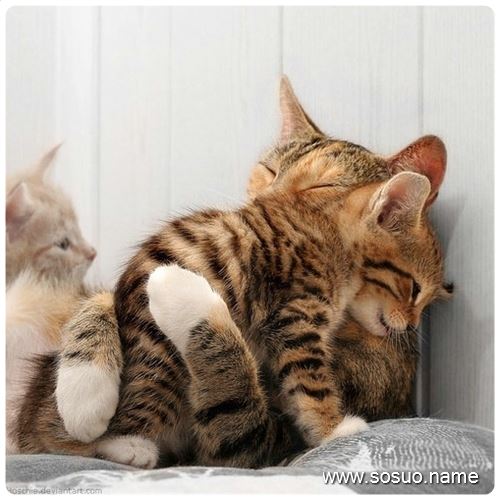 �μ������ų�����,�����μ������ų�����