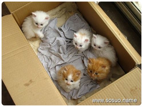 �μ����쵼���ҳ�,�����μ����쵼���ҳ�