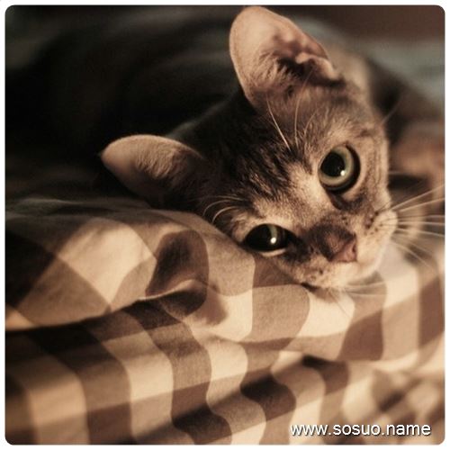 �μ���Ů�˲����˦����,�����μ���Ů�˲����˦����