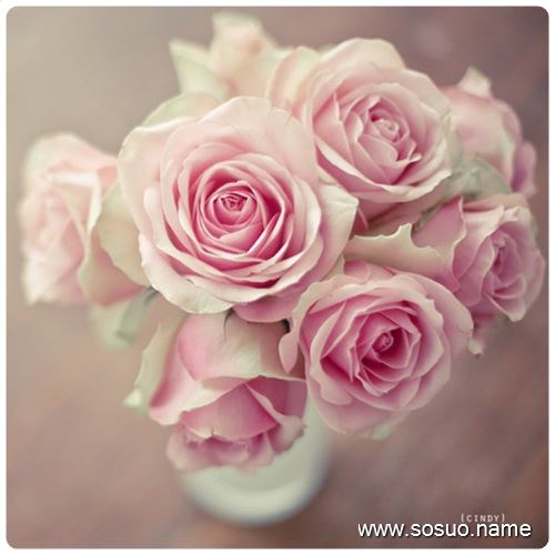 �μ����˵�ͷ������,�����μ����˵�ͷ������