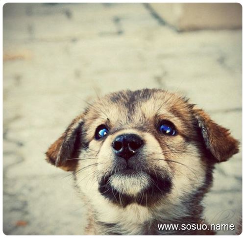 �μ���ȥĸ��,�����μ���ȥĸ��