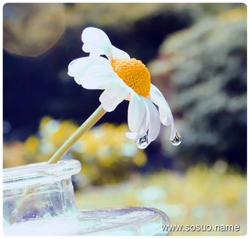 �μ������о�,�����μ������о�