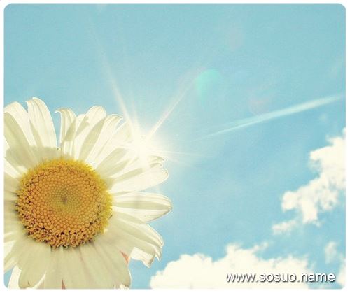 �μ�С�����ҳԳ���,�����μ�С�����ҳԳ���