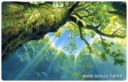 �μ����ڹ���ǽ����,�����μ����ڹ���ǽ����