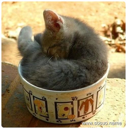 �μ�Ů�������ǹ���,�����μ�Ů�������ǹ���