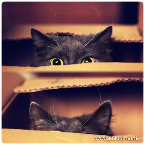 �μ����˵Ķ���������,�����μ����˵Ķ���������