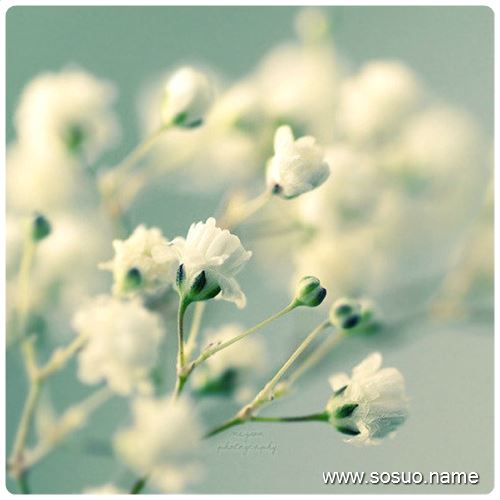 �μ����Ϻܶ೾��,�����μ����Ϻܶ೾��