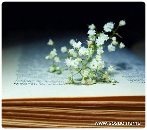 �μ�������һ��ץ����,�����μ�������һ��ץ����