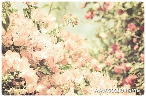 �μ�����ȥ��,�����μ�����ȥ��