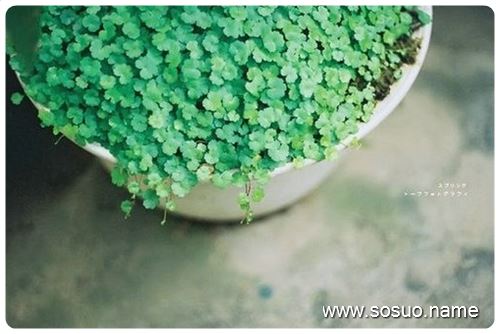 �μ���Ů������,�����μ���Ů������
