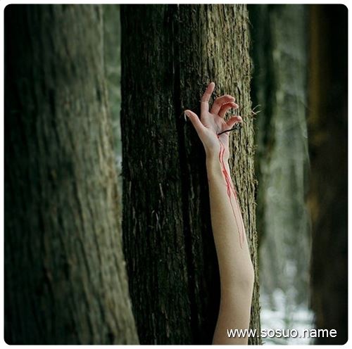 �μ��ֻ��ǻ���,�����μ��ֻ��ǻ���
