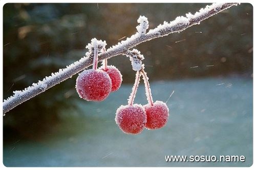 �μ�Ȣ���˵�����,�����μ�Ȣ���˵�����