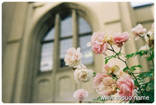 �μ�����Ҫ�����Լ�,�����μ�����Ҫ�����Լ�