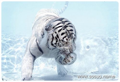 �μ�����ҧ������,�����μ�����ҧ������